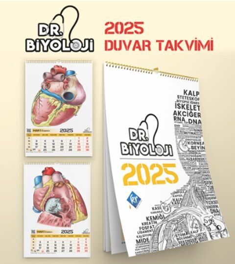 Barış Hoca Dr. Biyoloji Poster Takvim KR Akademi