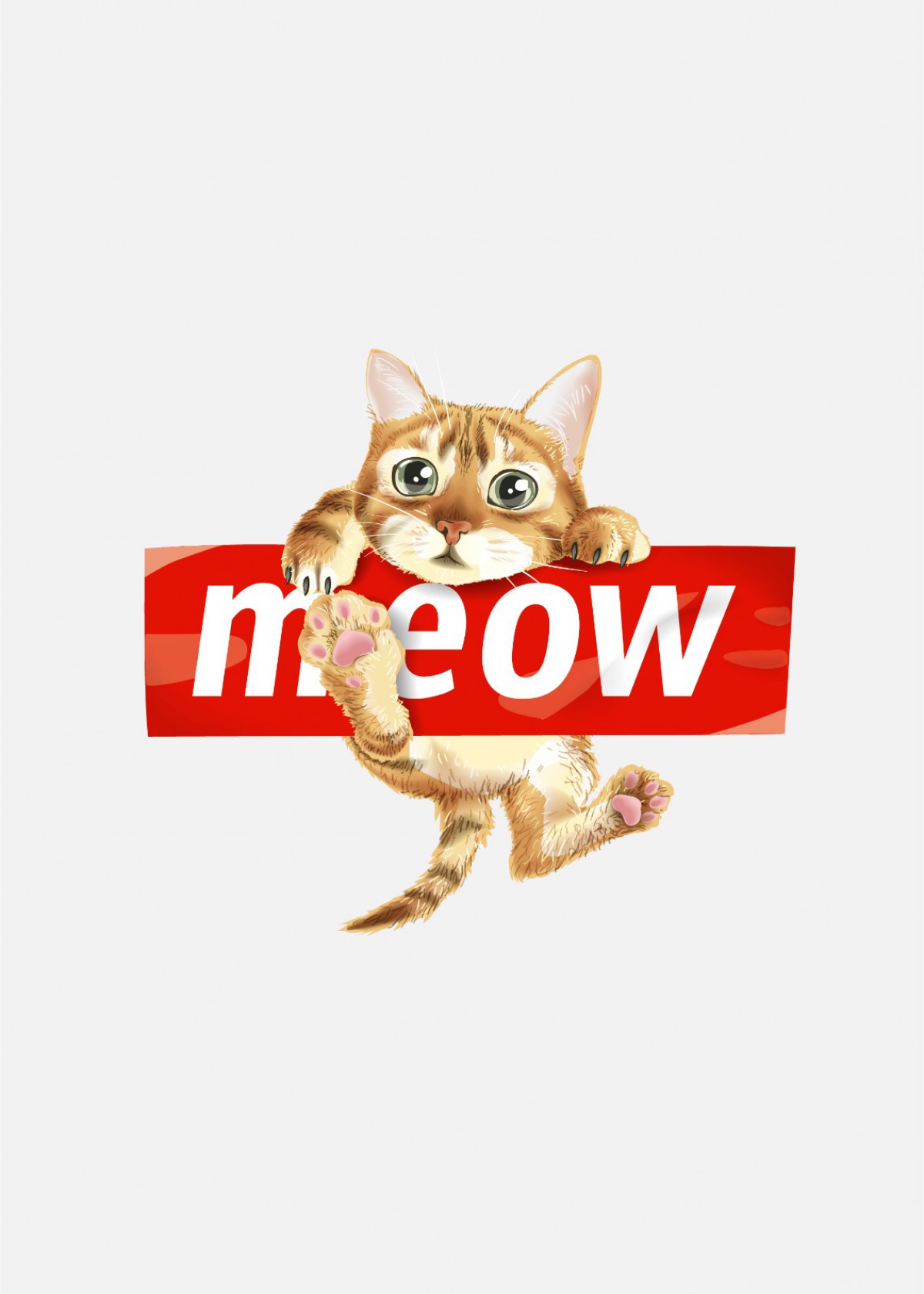 Binote Meow Kedi Çizgisiz Spiralli Not Defteri