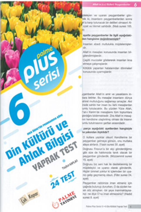6. Sınıf Plus Serısı Din Kültürü ve Ahlak Bilgisi Yaprak Test Palme Yayınları