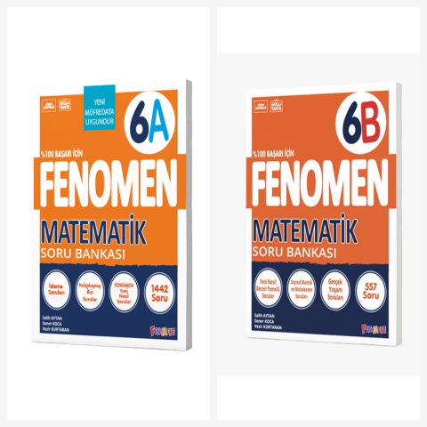 Fenomen 6. Sınıf Matematik A + B Soru Bankası Seti 2 Kitap Fenomen Yayınları